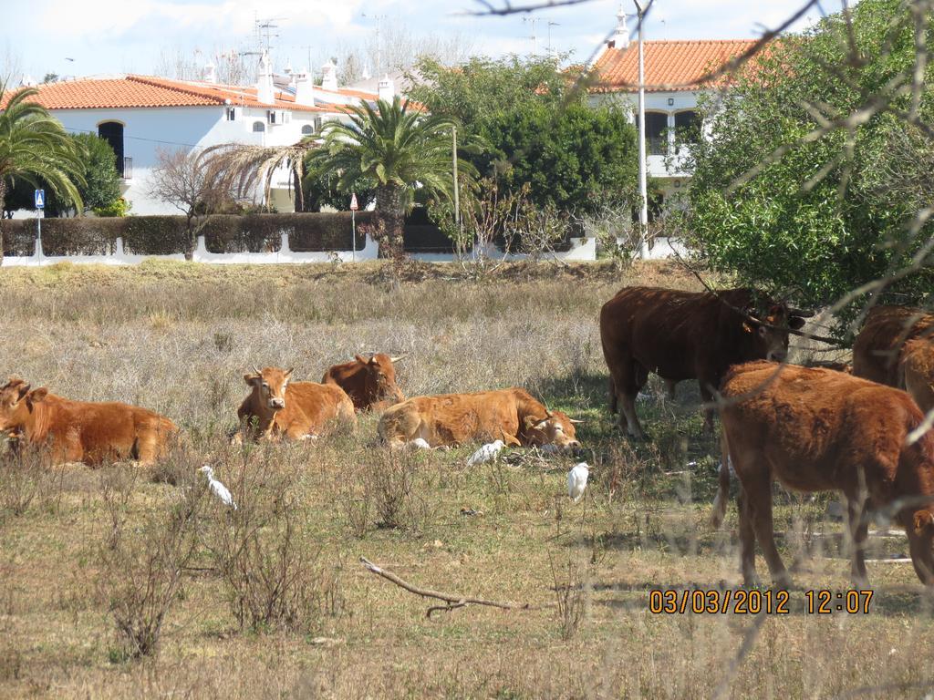 Altura Inn Beach מראה חיצוני תמונה